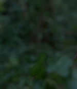 the100_s04e04_0069.jpg